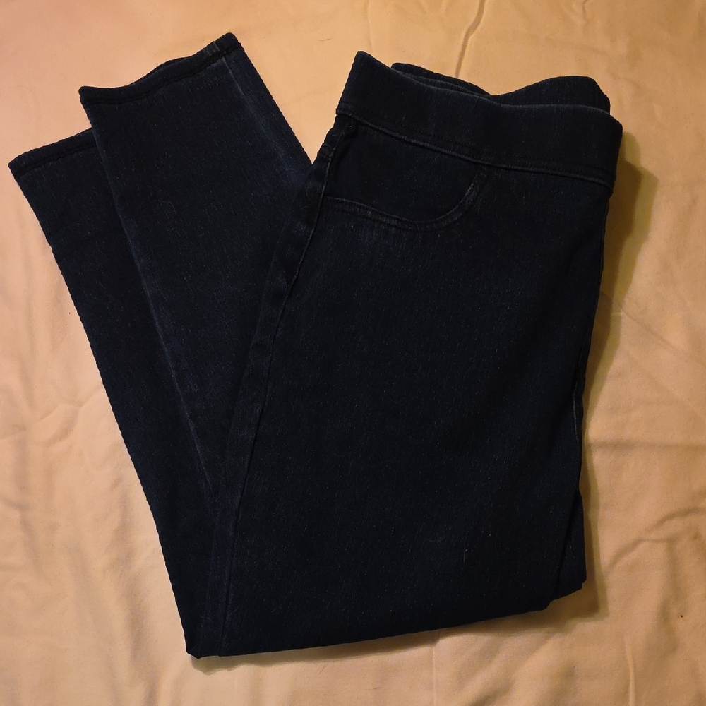 Time and Tru Dark Blue Women Jeggings
